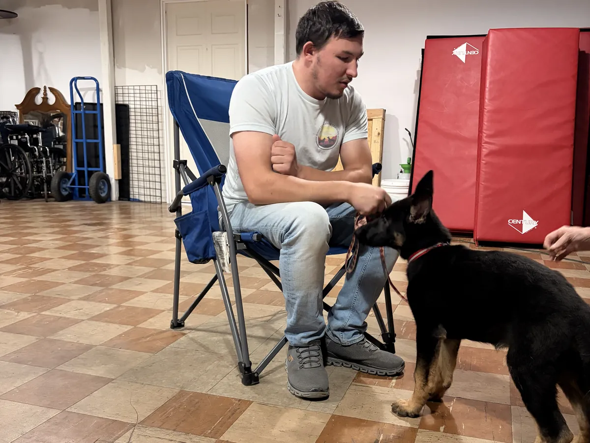 Owner Austin Todd with a German Shepherd puppy on a leash at the Rising Sun facility