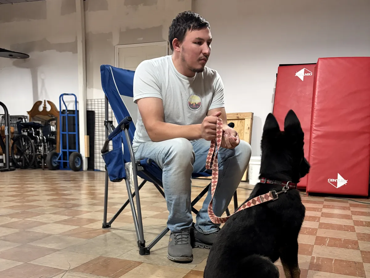 Owner Austin Todd with a German Shepherd puppy sitting on a leash during a lesson in Marion