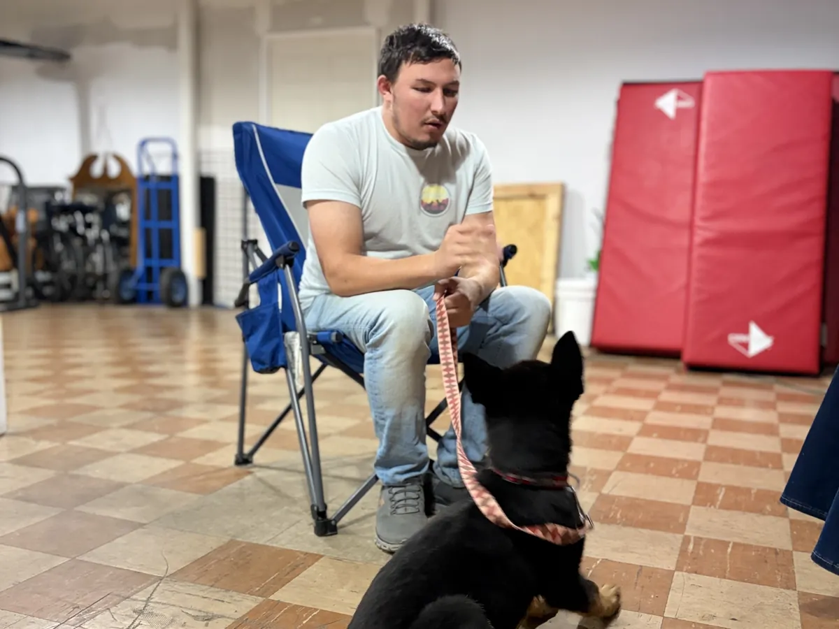 Owner Austin Todd working with a German Shepherd puppy on a leash at the Rising Sun facility